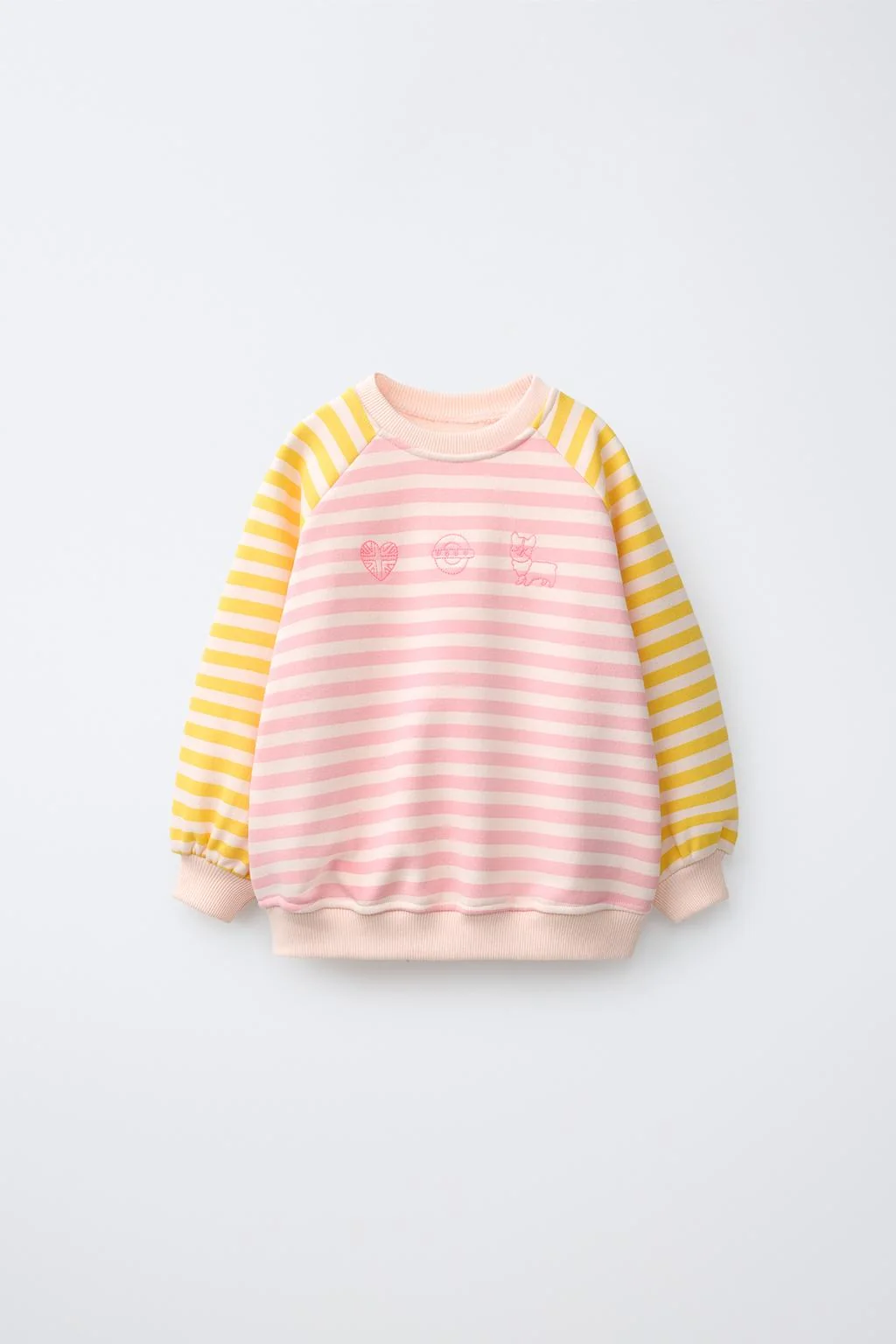 EMBROIDERED RAGLAN SLEEVE SWEATSHIRT