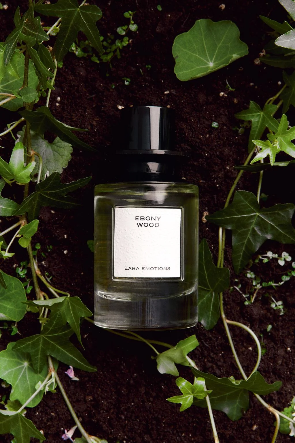 Ebony Wood EDP 100ML / 3.4 fl. oz