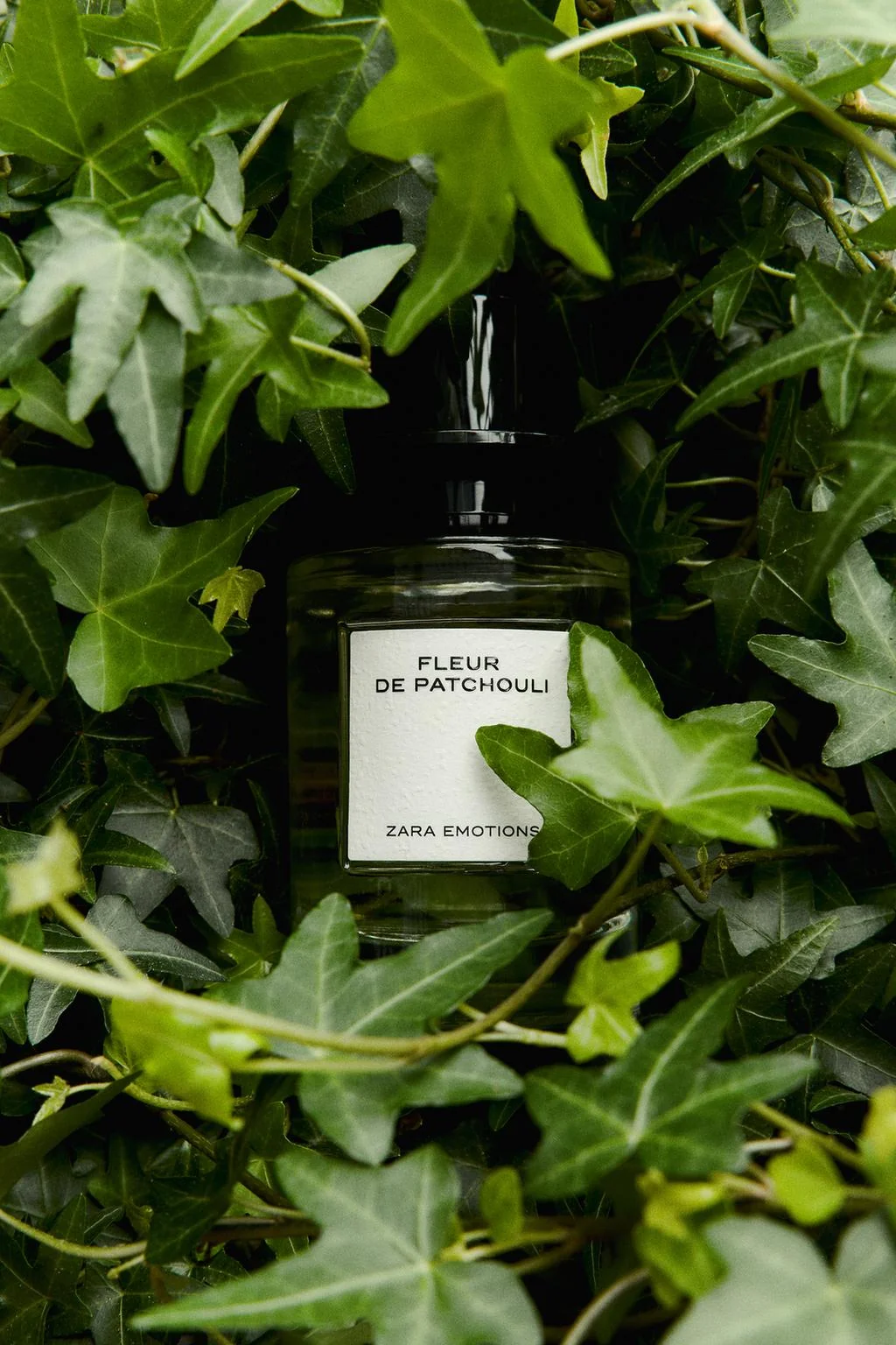 Fleur de Patchouli EDP 100 ML / 3.38 oz