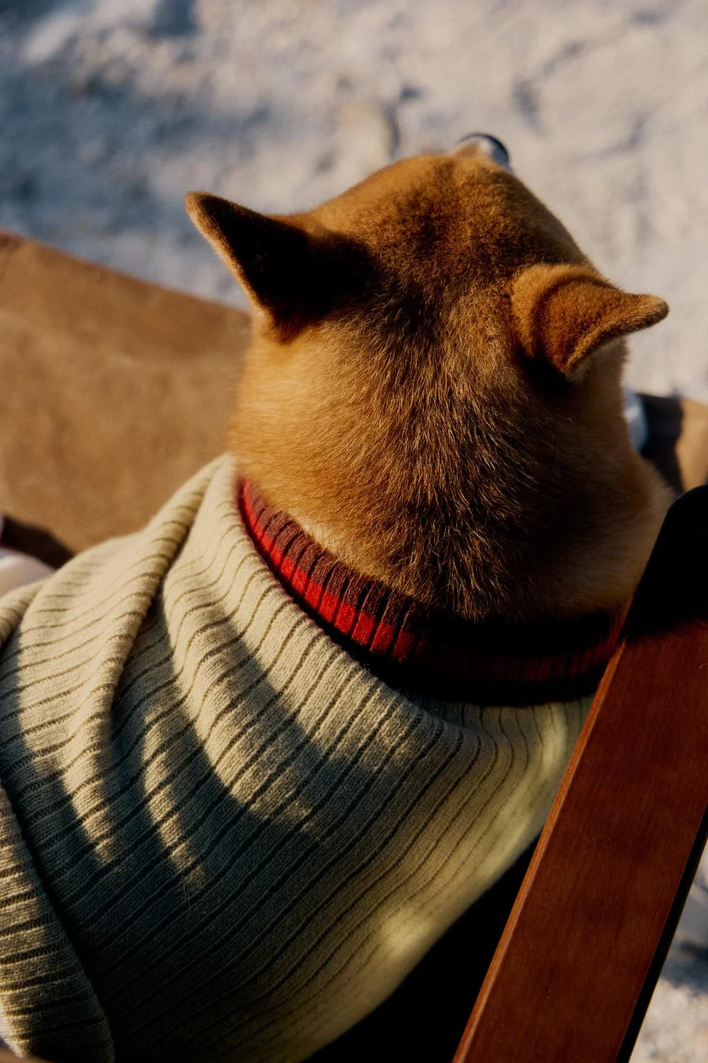 RIBBED PET SWEATER