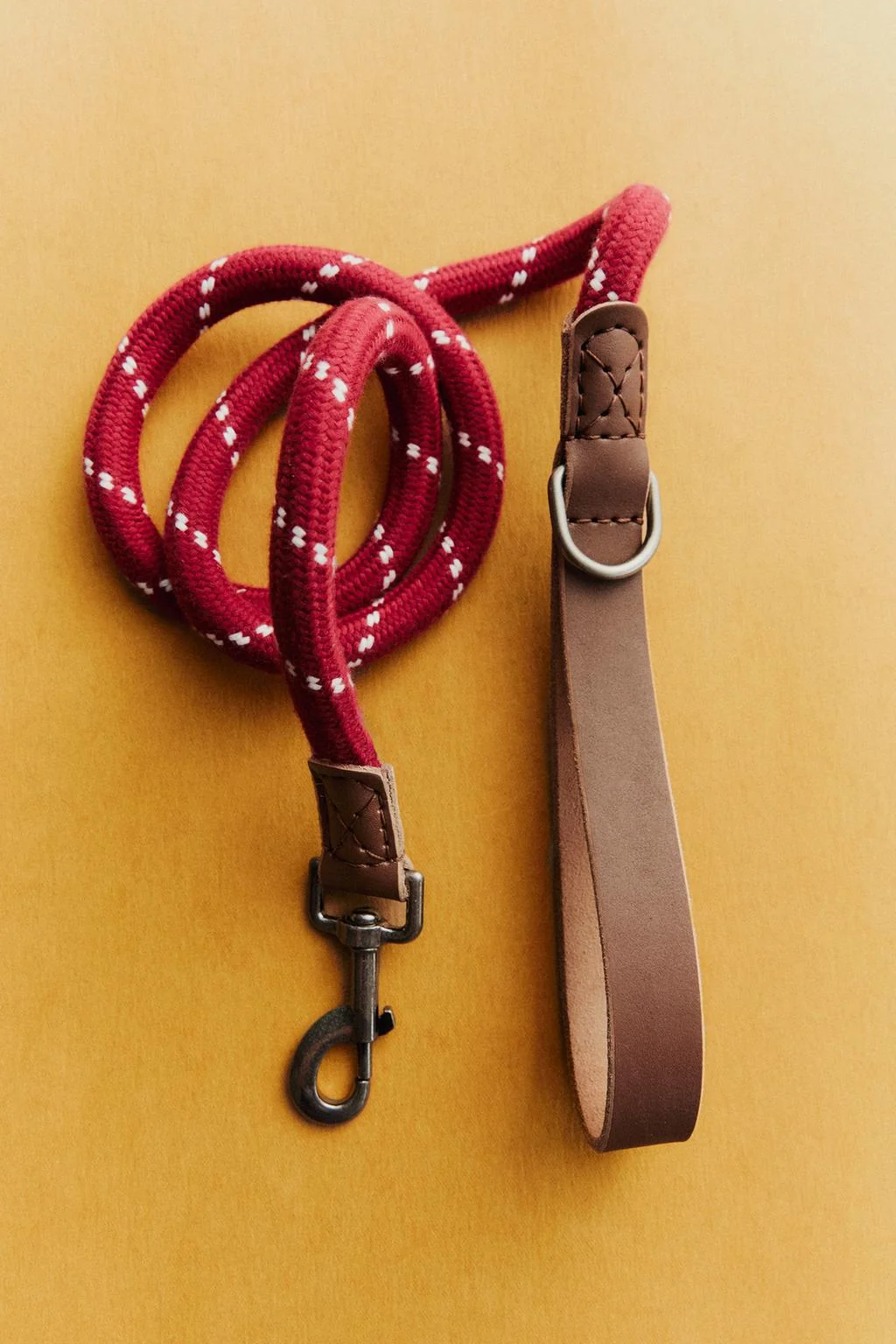 ROPE AND LEATHER PET LEAD