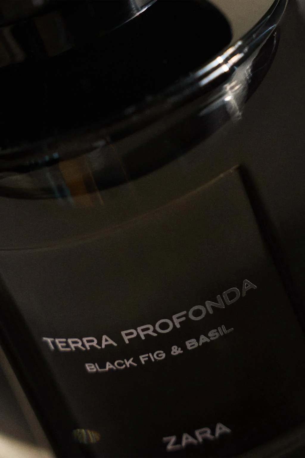 Парфюмерная вода Terra Profonda Black Fig & Basil, 100 мл