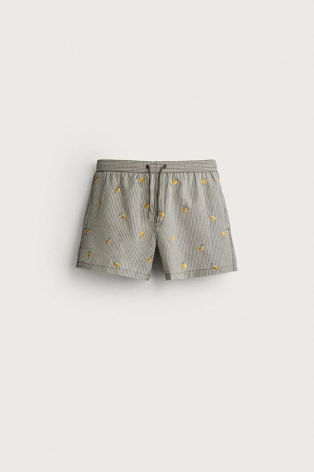 EMBROIDERED SEERSUCKER SWIM SHORTS