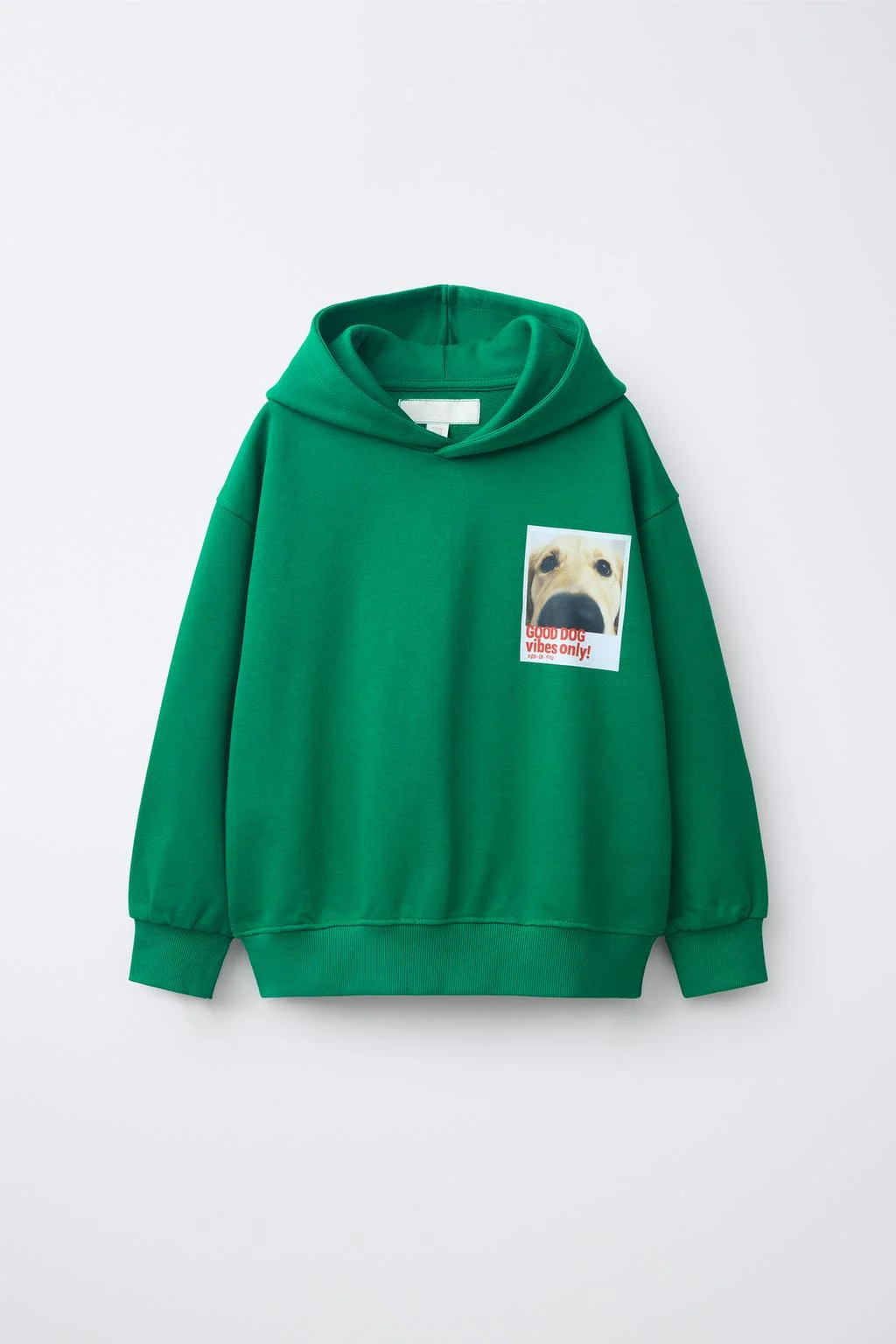 DOG PHOTO HOODIE