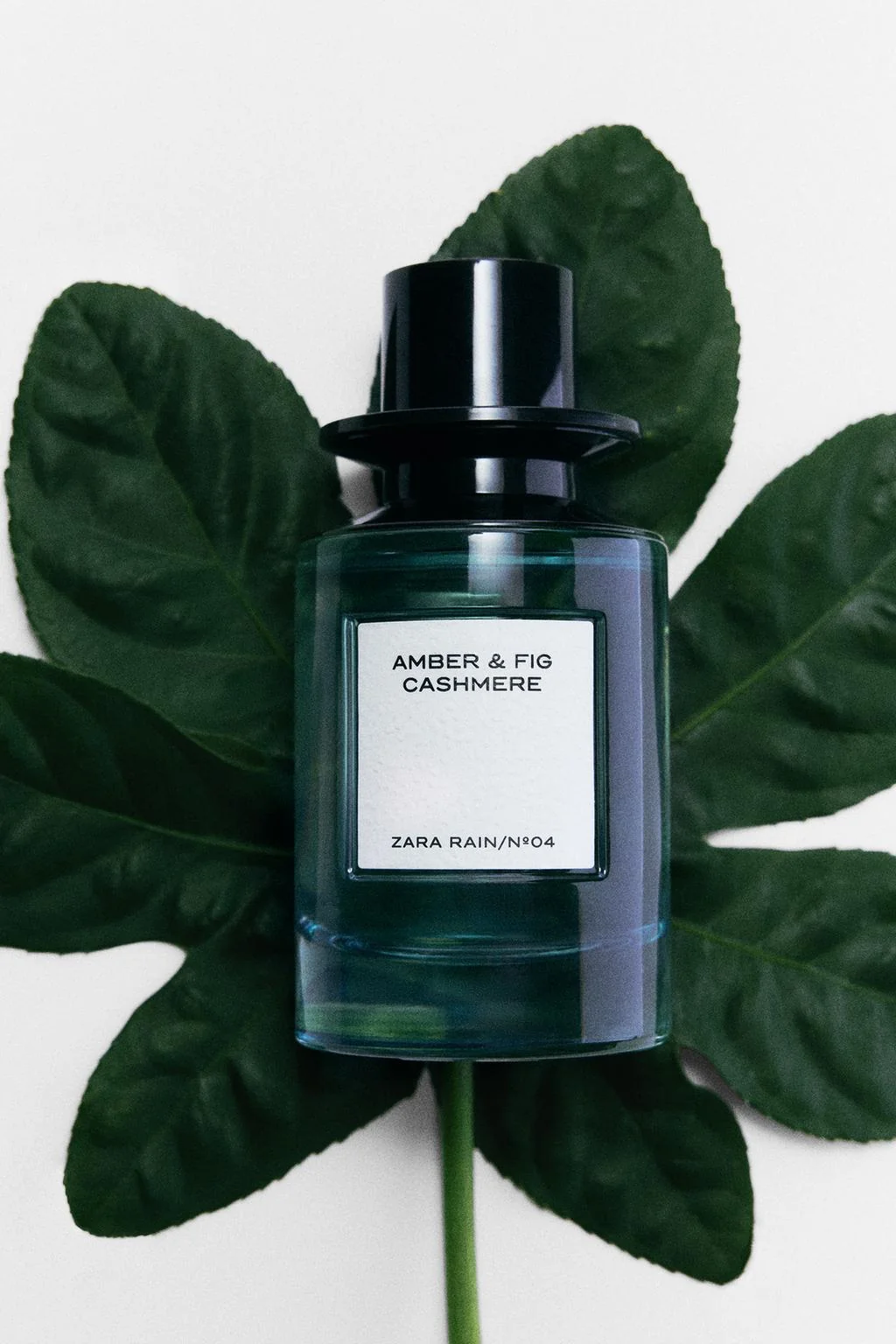 AMBER & FIG CASHMERE EDP 100 мл