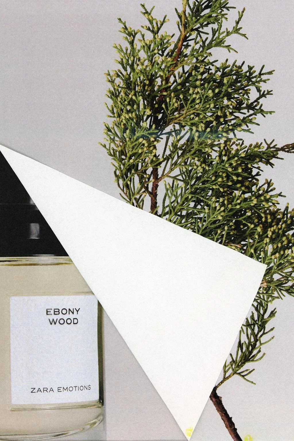EBONY WOOD EDP 100 мл — Коллаборации