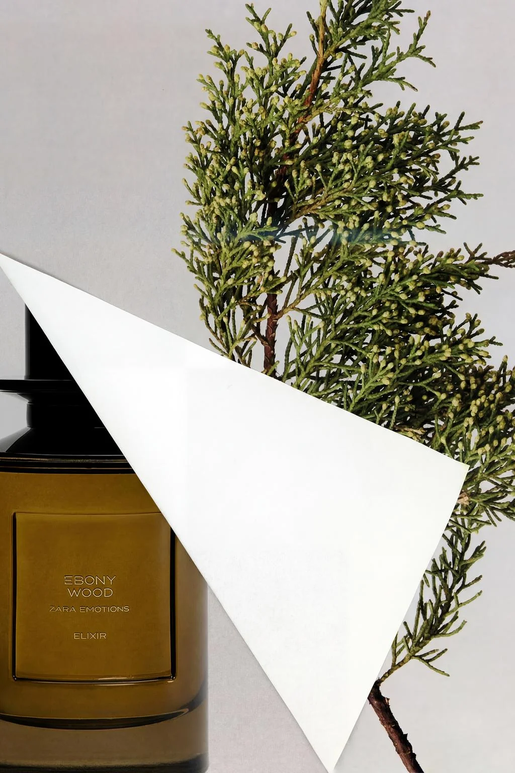 Эбони вуд эликсир парфюм 100 мл