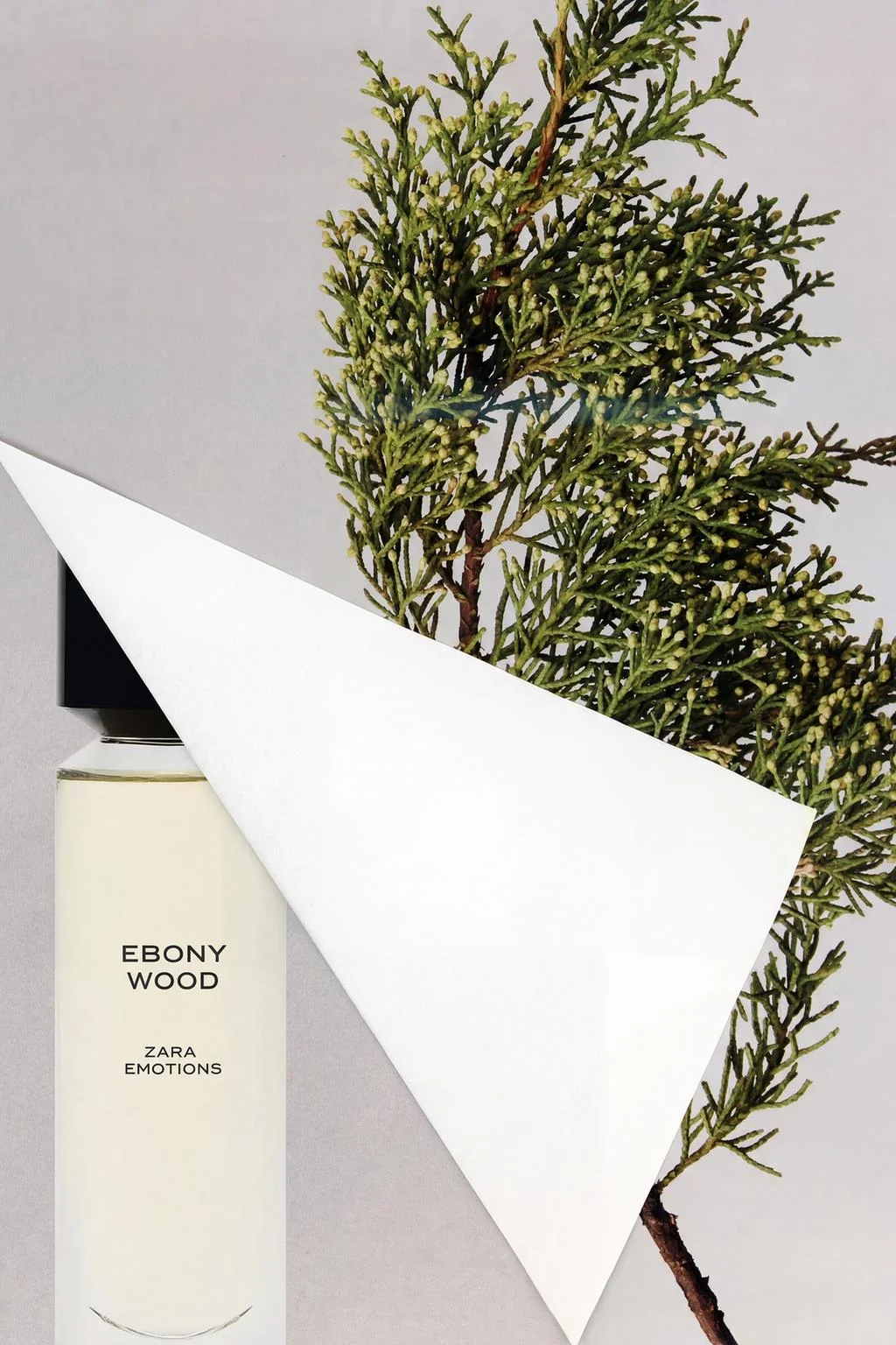Ebony Wood EDT 30 мл — Мини