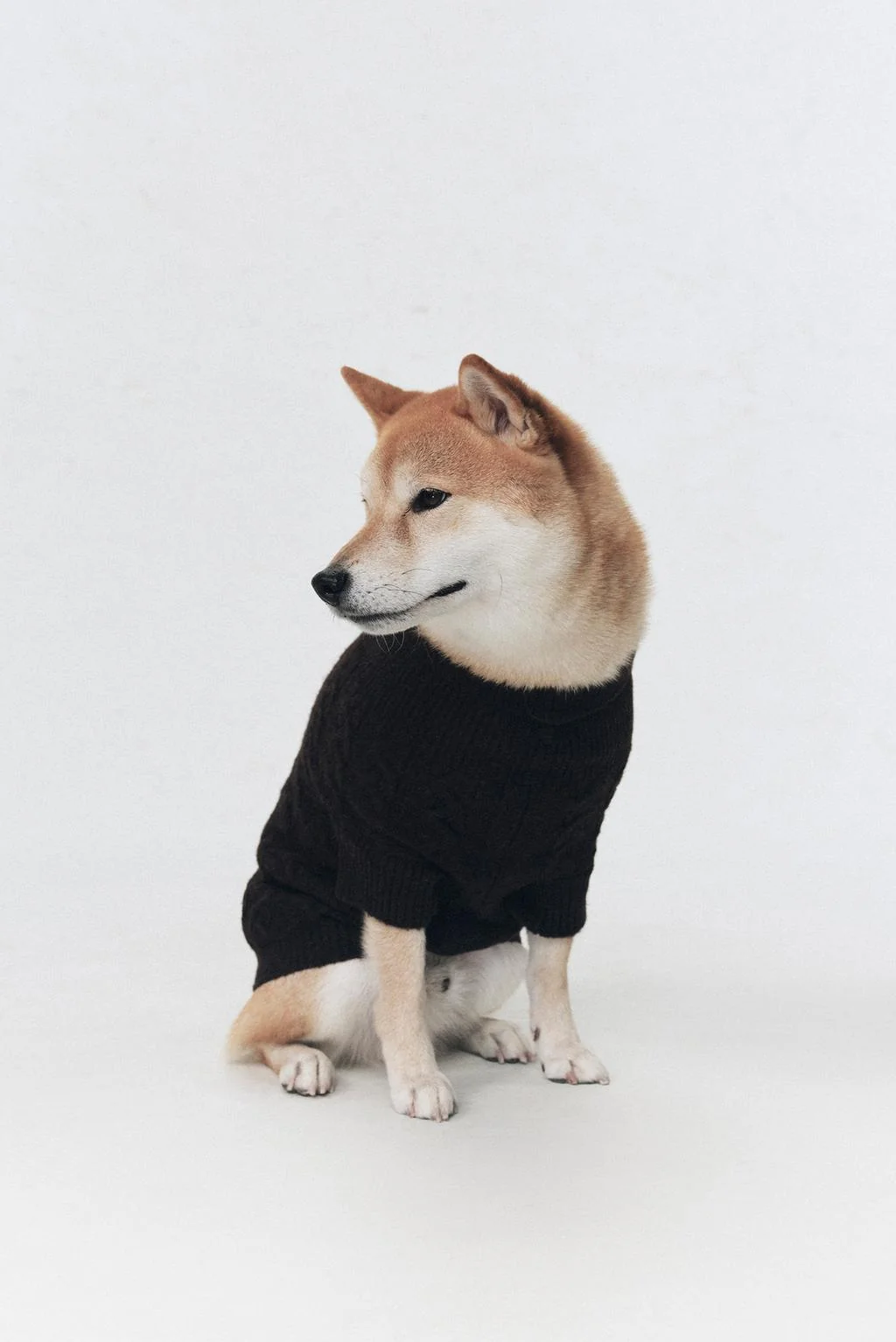 Свитер для питомцев из шерсти SOSHIOTSUKI x ZARA
