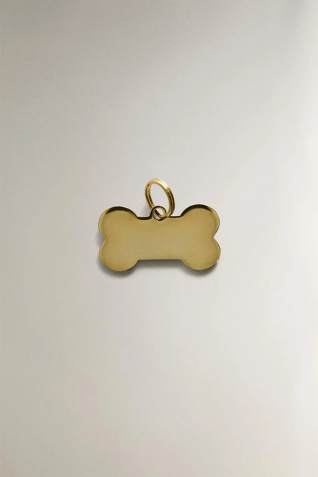 Шарм для животных из нержавеющей стали в виде кости — Путешествия