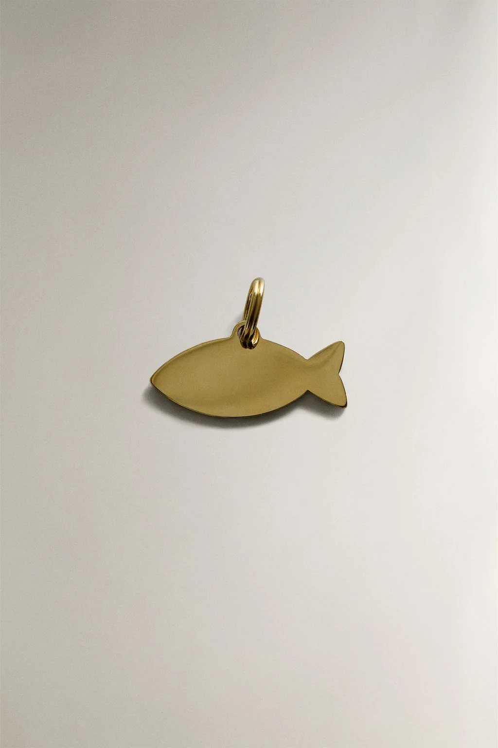 Шарм для животных из нержавеющей стали в виде рыбы — Путешествия