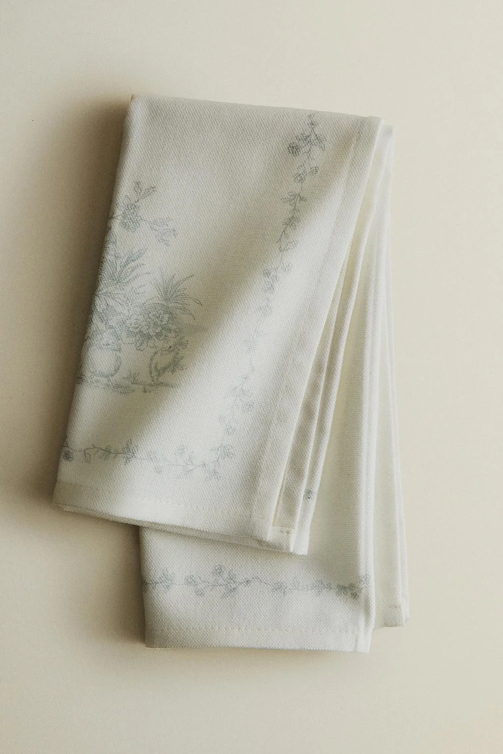 Набор из 2 хлопковых салфеток toile