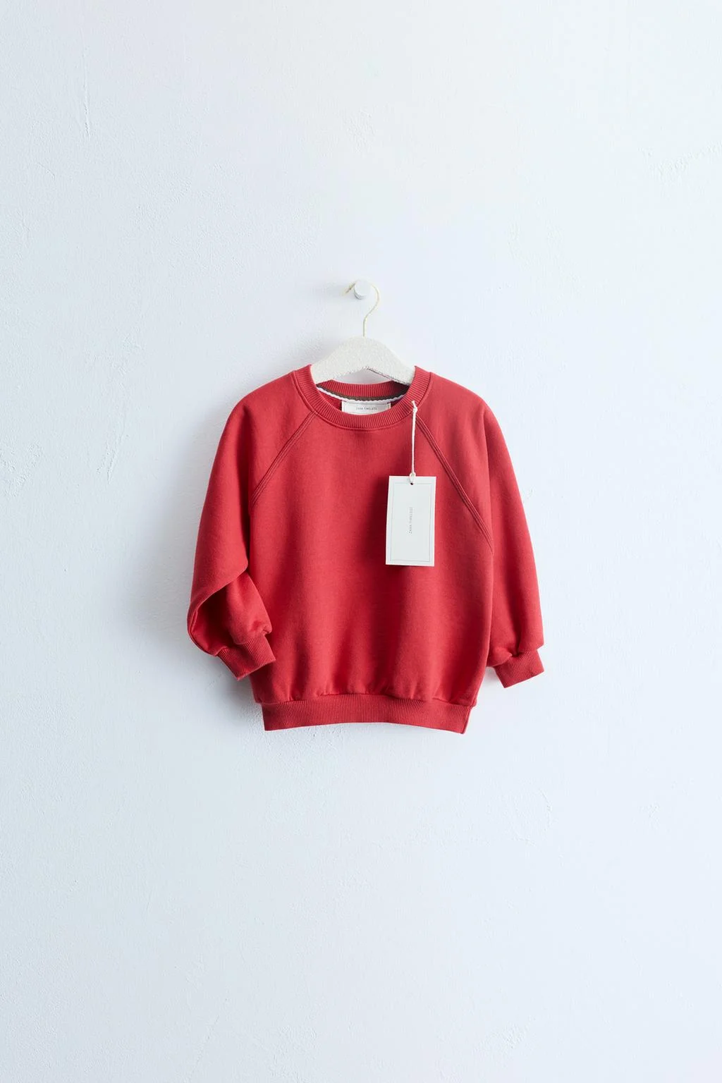 ZARA TIMELESS - Однотонная толстовка
