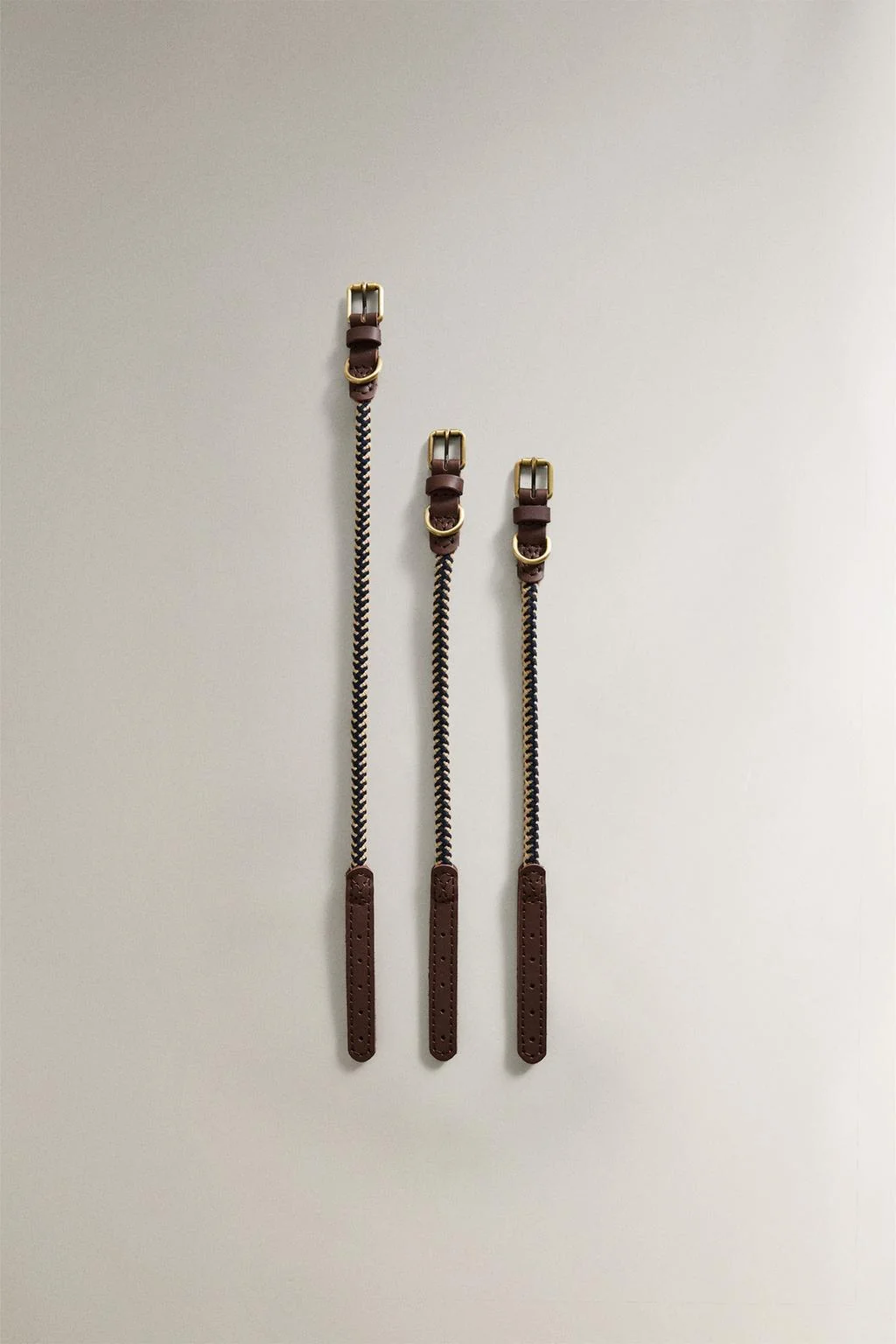 Ошейник для собаки из цветного шнура